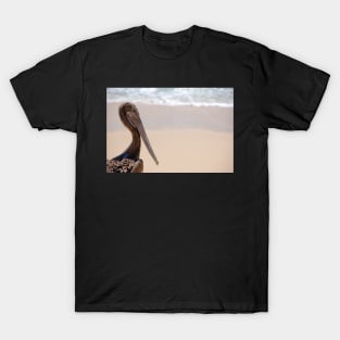 Brown Pelican T-Shirt